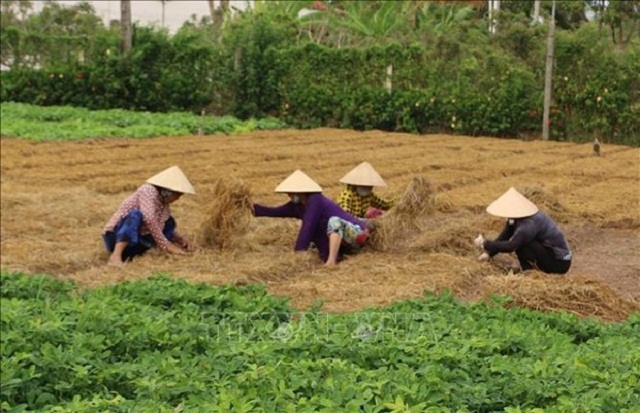 Đã có nhiều HTX, người dân đã quan tâm đến sản xuất, kinh doanh theo mô hình nông nghiệp tuần hoàn