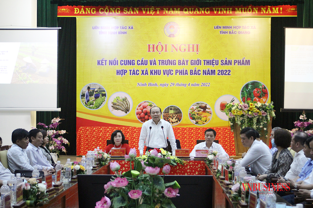 Hội nghị khai mở nhiều vấn đề trong kết nối cung cầu khu vực HTX.