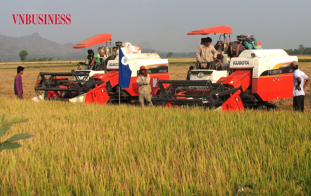 Ngành hàng lúa gạo Việt cần tận dụng tốt giai đoạn then chốt trong quý II và quý III/2022 để tăng tốc hoạt động xuất khẩu với mức giá tốt nhất có thể.