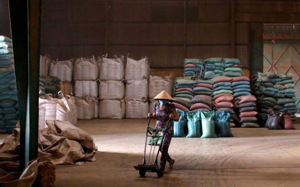Một công nhân đang làm việc tại kho cà phê ở tỉnh Bình Dương. Việt Nam có khả năng chiếm gần 1/5 lượng cà phê được trồng trên thế giới trong giai đoạn 2021-2022. ẢNH: REUTERS