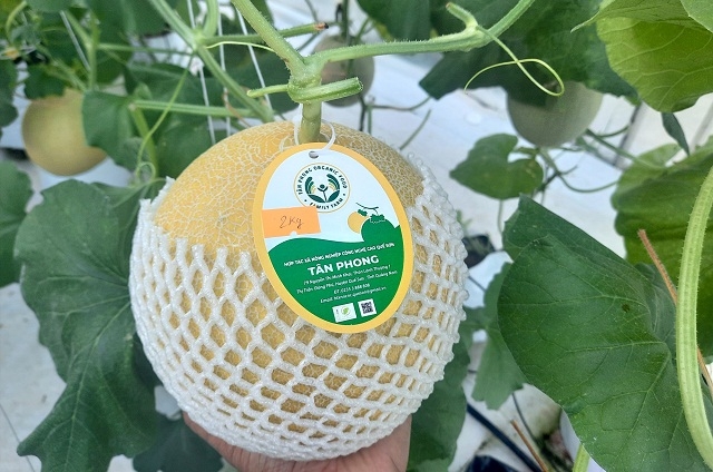 Sản phẩm của HTX đã được ứng dụng công nghệ để truy xuất nguồn gốc, sử dụng thương mại điện tử.