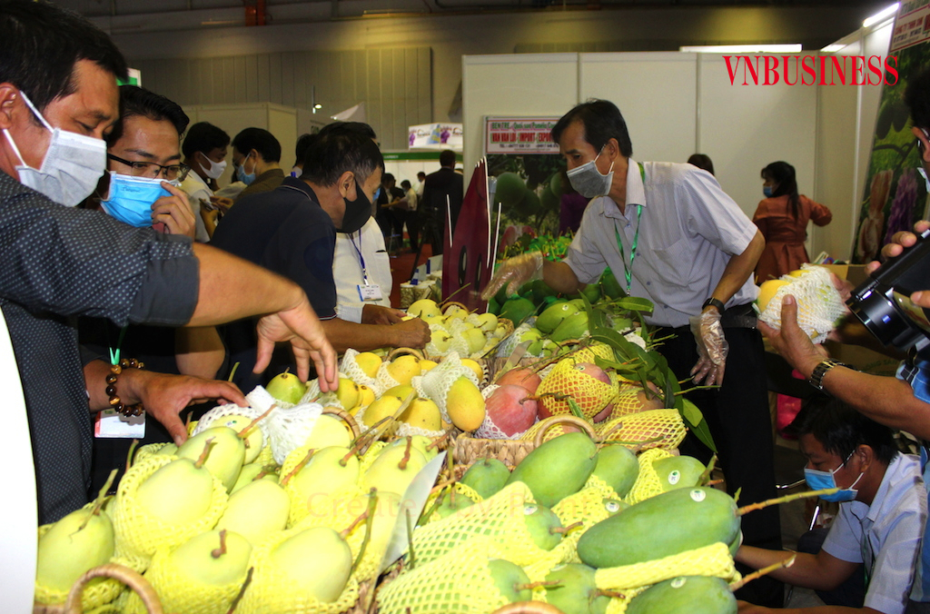 Giá cả và kim ngạch xuất khẩu của trái xoài sụt giảm mạnh khi những điểm yếu vẫn còn đó.