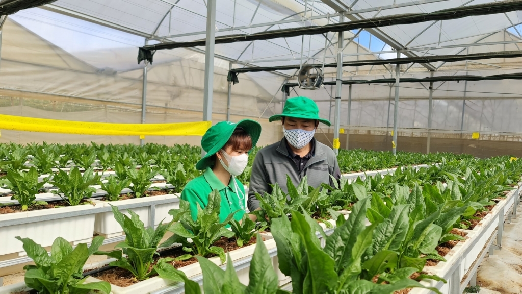 Cán bộ HTX có giỏi thì mới giúp HTX hoạt động hiệu quả.