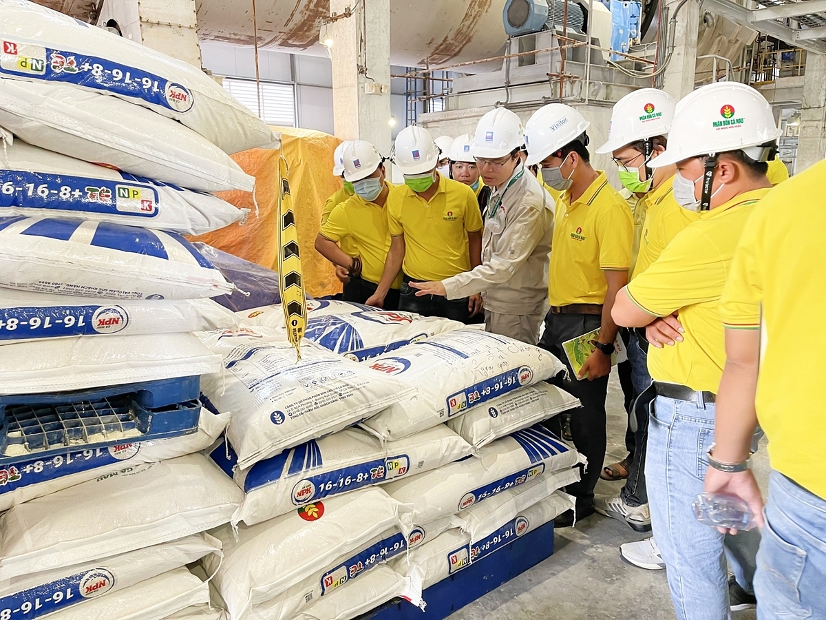 DCM sẽ tiếp tục hoàn thiện các dự án chuyển tiếp.