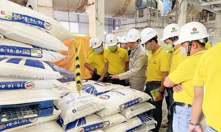 Lợi thế từ thị trường, Phân bón Cà Mau vượt chỉ tiêu kế hoạch quý I