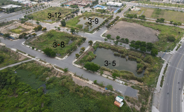 Đến ngày 6/7/2022, nếu 2 doanh nghiệp này vẫn chưa nộp tiền, Sở TN&MT phải trình UBND TP.HCM quyết định hủy quyết định công nhận kết quả trúng đấu giá quyền sử dụng đất và 2 doanh nghiệp sẽ bị mất tiền đặt cọc với số tiền hơn 300 tỉ đồng.