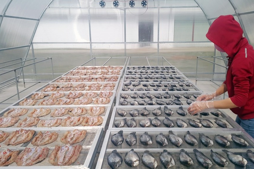 Sấy nông sản bằng hệ thống năng lượng mặt trời giúp bảo vệ môi trường, nâng cao chất lượng và hiệu quả kinh tế.