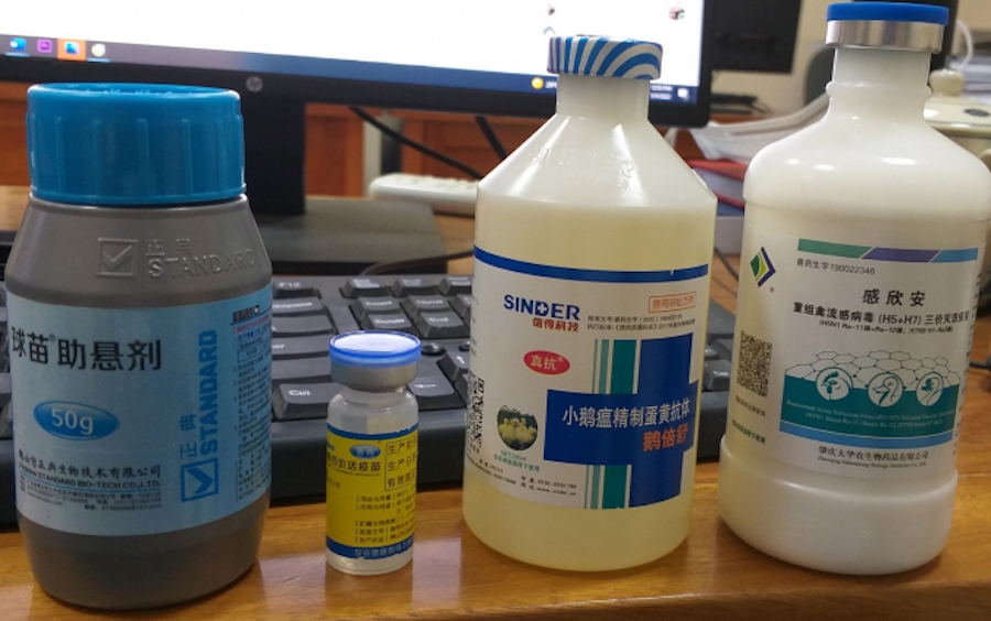 Thuốc thú y không rõ nguồn gốc xuất xứ được nhập lậu vào Việt Nam.