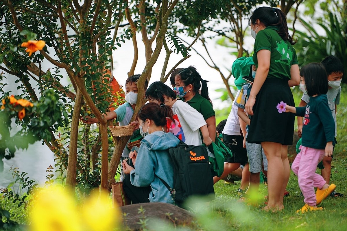 Trẻ em bắt ve trong công viên.