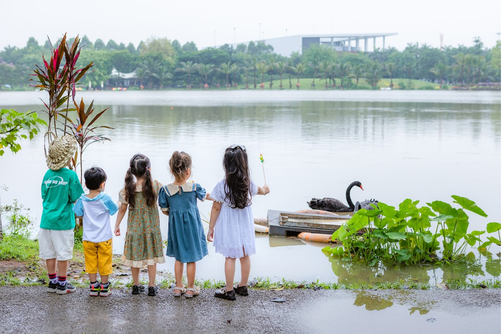 Trẻ mải mê ngắm nhìn thiên nga bơi lội trong KĐT Ecopark.
