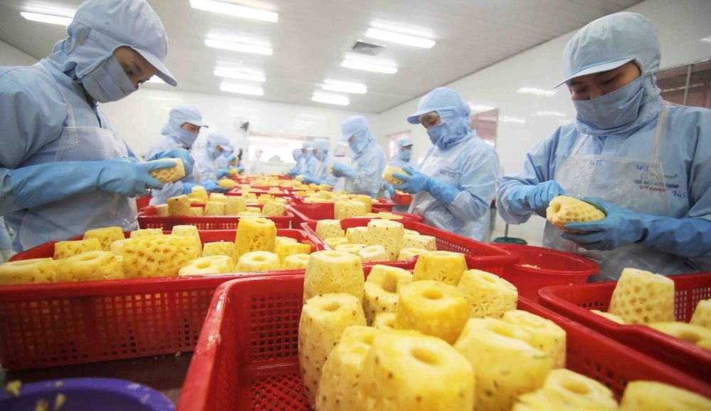 Số doanh nghiệp gia nhập và tái gia nhập thị trường trong 5 tháng đạt 98.600 doanh nghiệp, cao nhất từ trước tới nay (Ảnh: Int)