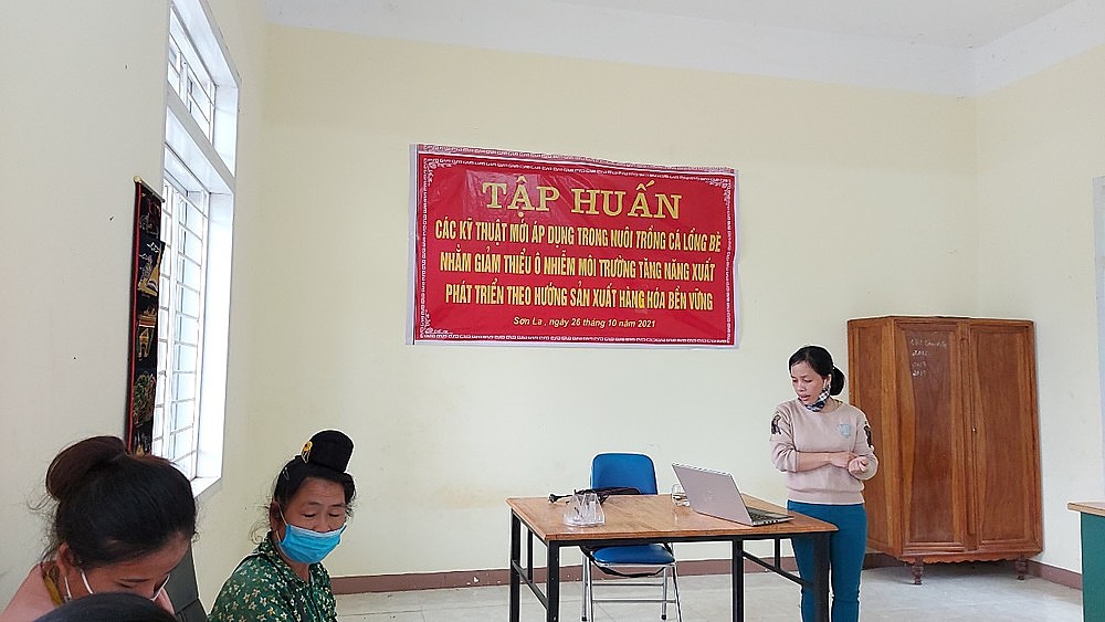 Lớp tập huấn tại HTX Hồ Quỳnh, Sơn La.