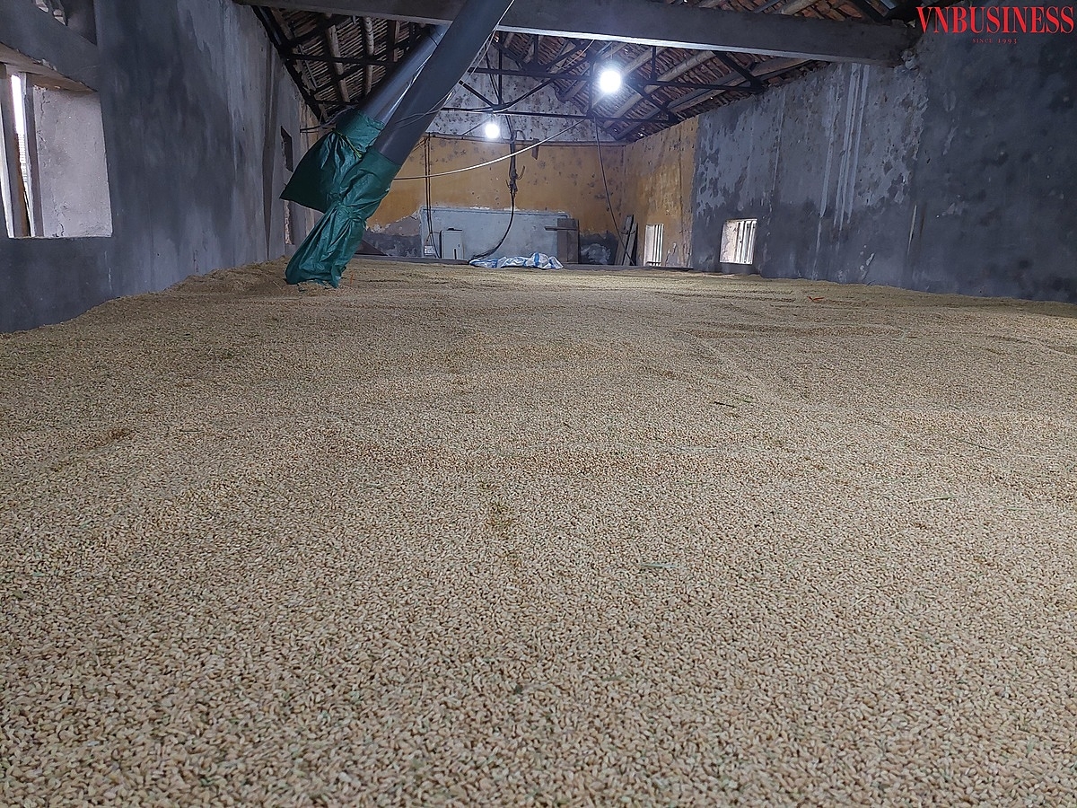 Một phần của hệ thống lò sấy.