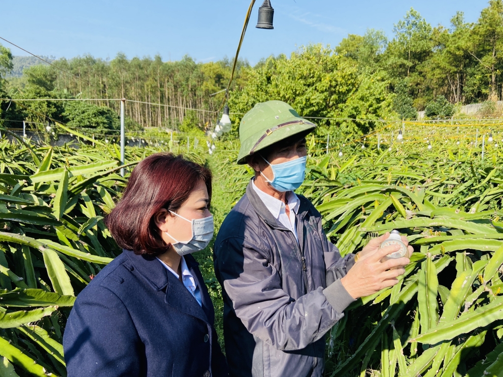 Việc cấp và quản lý mã số vùng trồng, cơ sở đóng gói vẫn còn đối mặt nhiều khó khăn, bất cập.