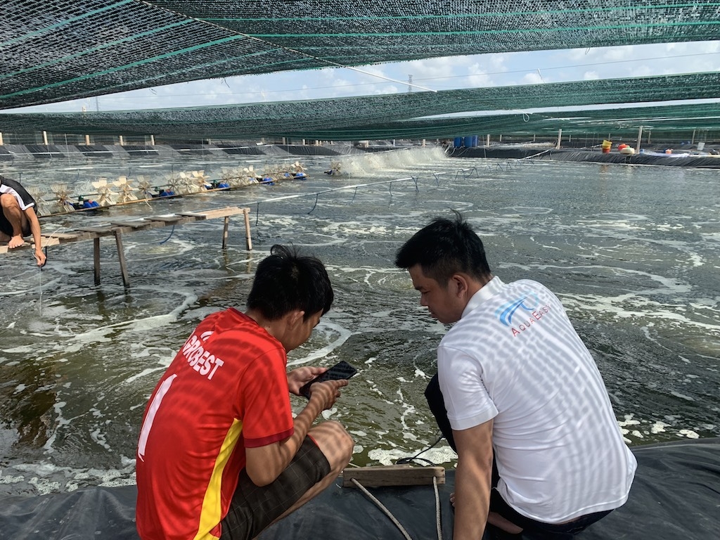 Hệ thống giám sát nuôi trồng thủy sản tích hợp công nghệ thông minh AquaEasy sẽ được đưa vào giảng dạy.