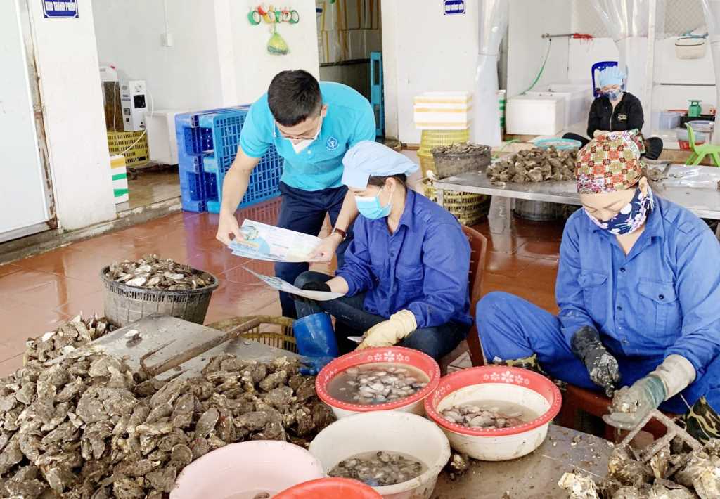 Đề xuất lao động phi chính thức cần được tham gia BHXH.