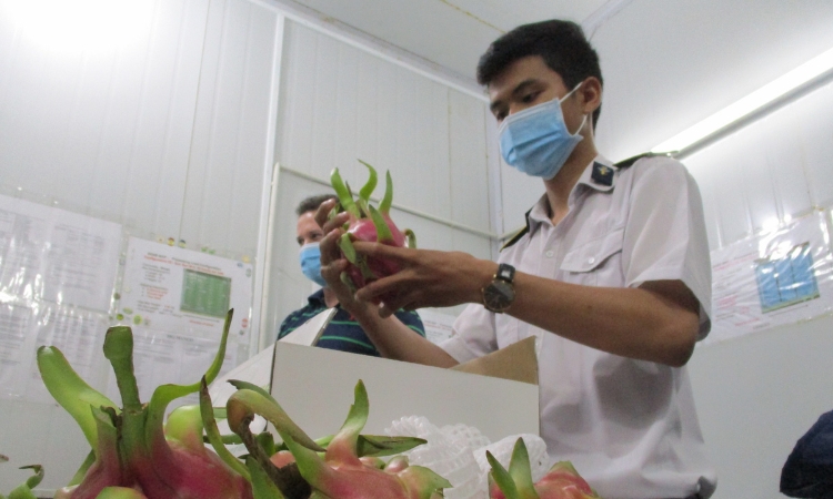Khi nông sản Việt vẫn vướng barie siết an toàn thực phẩm
