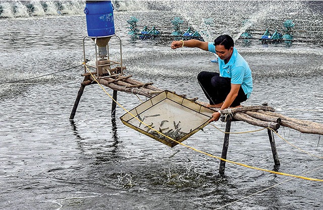 Bằng công nghệ hiện đại, nhiều HTX đã đáp ứng nhu cầu ngày càng cao về kinh tế và bền vững đối với môi trường.