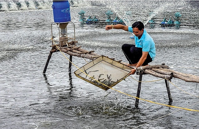 Bằng công nghệ hiện đại, nhiều HTX đã đáp ứng nhu cầu ngày càng cao về kinh tế và bền vững đối với môi trường.