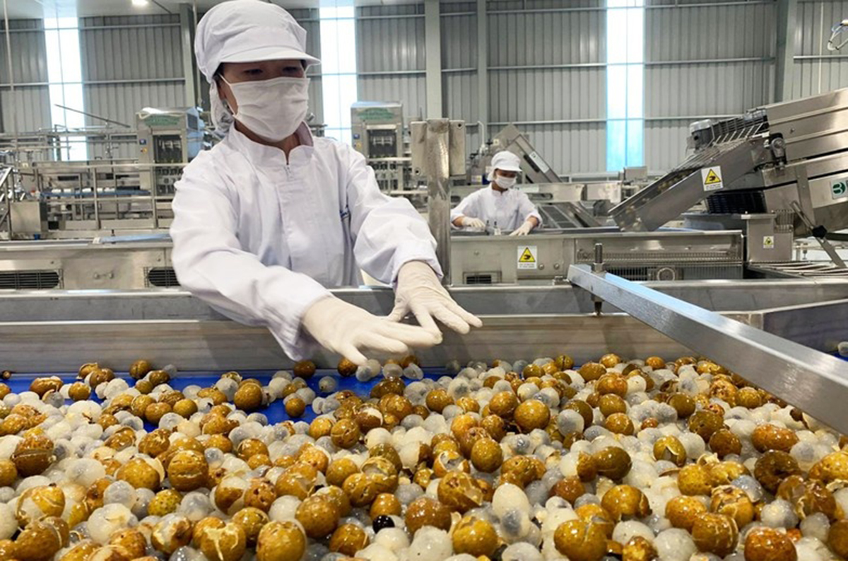 Chế biến sâu là chìa khóa giúp HTX mở rộng thị trường, chinh phục thị trường xuất khẩu.