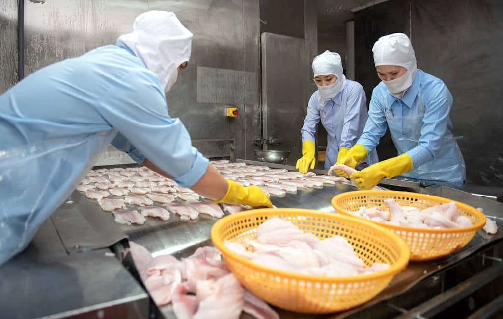 Mặc dù nửa đầu năm 2022 XK thuỷ sản đạt xấp xỉ 6 tỷ USD nhưng dự báo cả năm nay cũng chỉ đạt 10 tỷ USD.