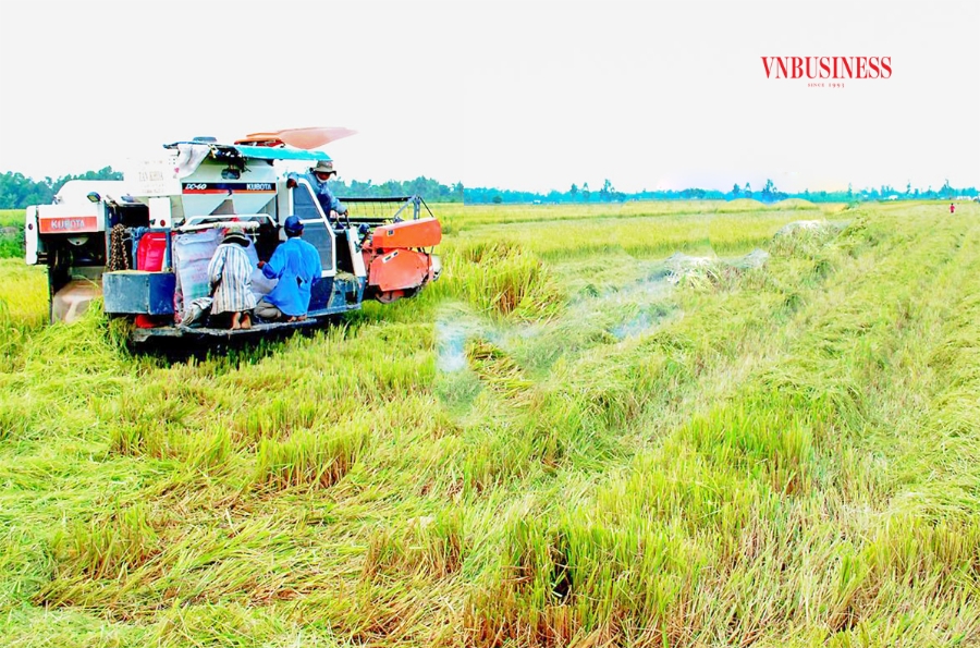 Cần thêm các cơ chế, chính sách đặc thù, quyết liệt hơn để nông nghiệp, HTX vùng ĐBSCL bứt phá.
