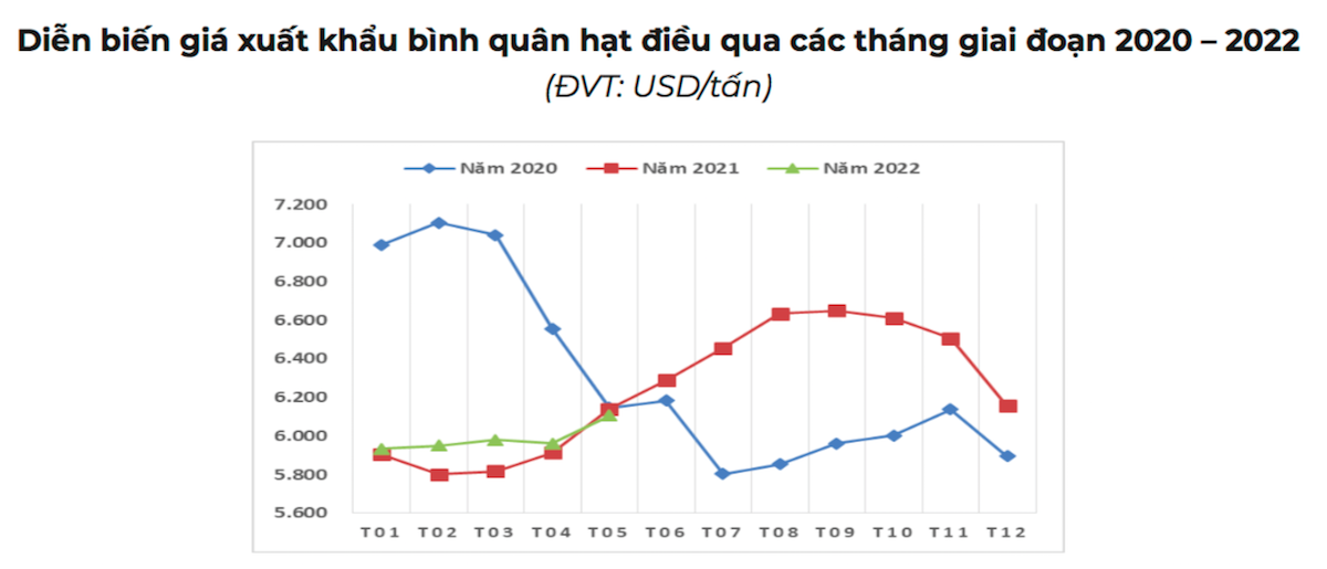 Giá xuất khẩu hạt điều tháng 5 đạt mức cao nhất kể từ đầu năm nay.
