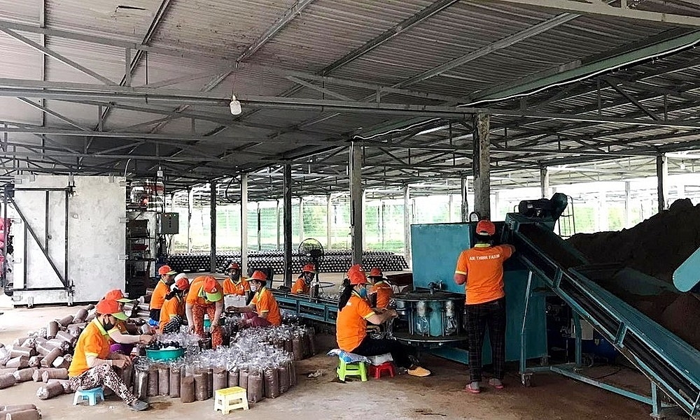 Không truy thu tiền thuê đất của các HTX thuộc đối tượng được miễn sẽ góp phần thúc đẩy KTT, HTX phát triển.