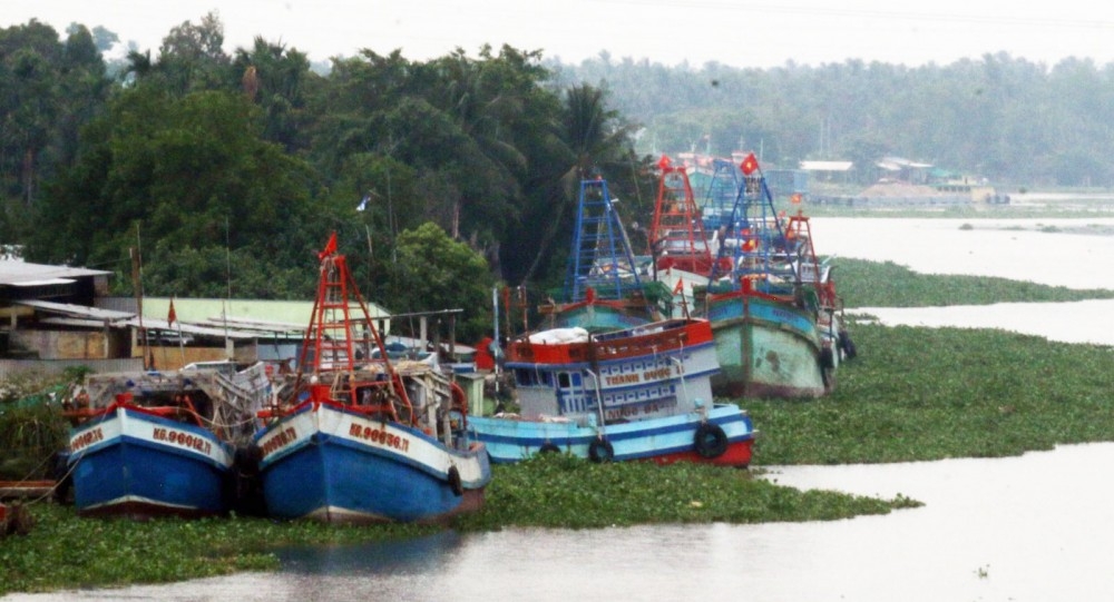 Đến thời điểm hiện nay tàu cá ngừng hoạt động chiếm khoảng 40-55%.