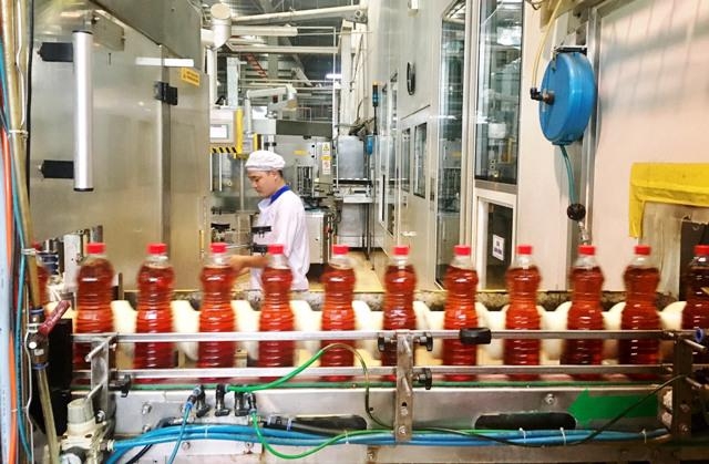 Bên trong 1 cơ sở sản xuất nước mắm tại Phú Quốc.