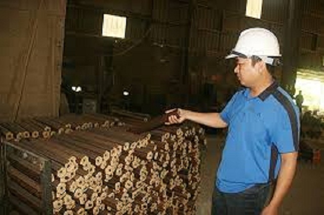 Than sinh học đã tạo một bước đi mới trong cuộc cách mạng bảo vệ môi trường, nâng cao chất lượng cuộc sống.