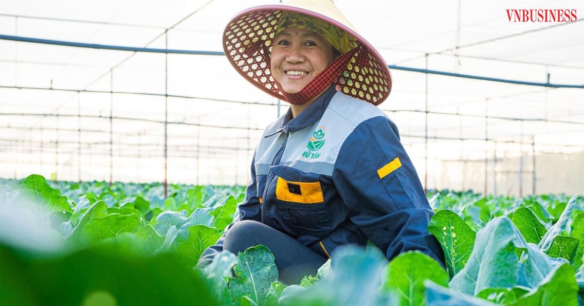 Các HTX luôn đề cao lợi ích của thành viên, góp phần thúc đẩy kinh tế xã hội phát triển.