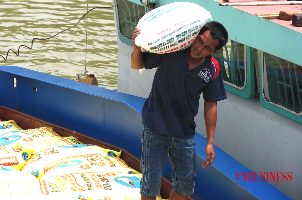 Nghịch lý về mặt lợi nhuận khủng của DN đối nghịch lại sự “còng lưng” chịu thiệt của nông dân là điều mà các nhà quản lý, hoạch định chính sách cần để tâm.
