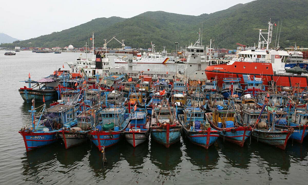 Tàu cá ngừng hoạt động chiếm khoảng 40-55% vì giá xăng dầu tăng cao.