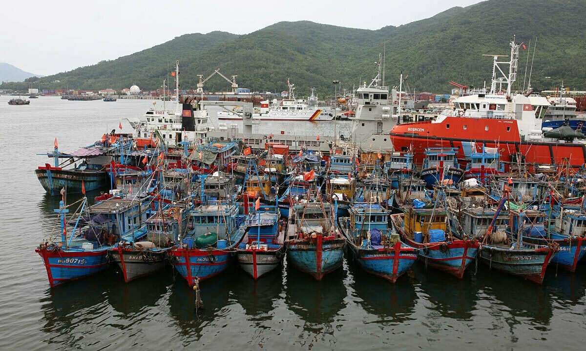 Tàu cá ngừng hoạt động chiếm khoảng 40-55% vì giá xăng dầu tăng cao.