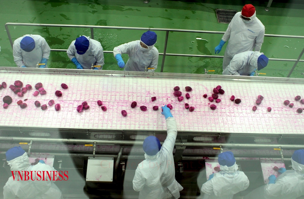 Điều lo ngại nhất trong hoạt động chế biến rau quả phục vụ XK là “sức ì”, chậm thay đổi ở các DN nhỏ và vừa.