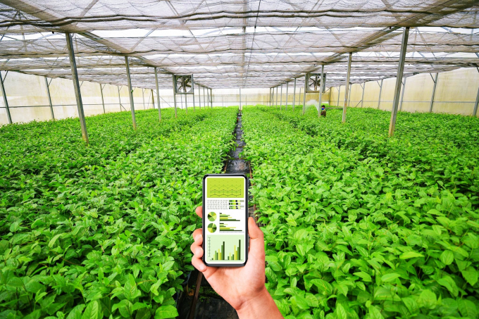 Để HTX chuyển đổi số thành công, rất cần sự hỗ trợ từ các cơ quan quản lý.