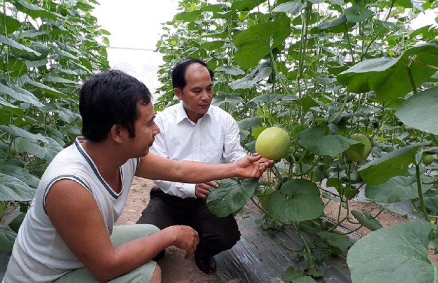 HTX Nông nghiệp Vĩnh Thượng triển khai các mô hình phát triển dựa trên ứng dụng khoa học, công nghệ.