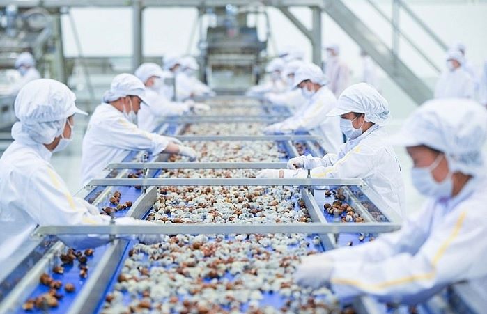 Tính đến hết tháng 6/2022, các nước đã tiến hành 214 vụ việc điều tra phòng vệ thương mại với các mặt hàng xuất khẩu của Việt Nam (Ảnh: Int)