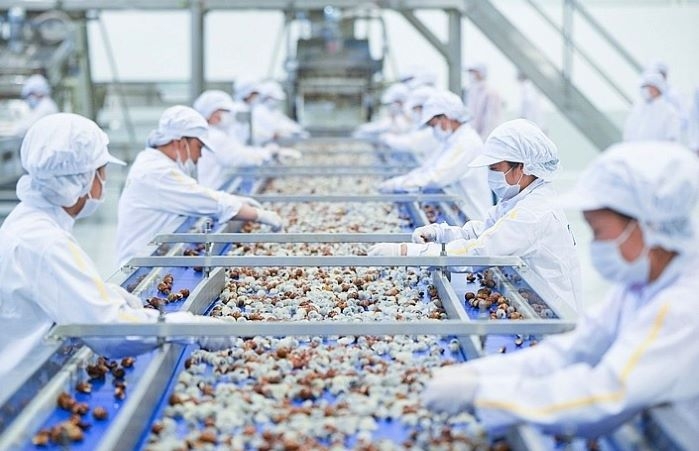 Tính đến hết tháng 6/2022, các nước đã tiến hành 214 vụ việc điều tra phòng vệ thương mại với các mặt hàng xuất khẩu của Việt Nam (Ảnh: Int)