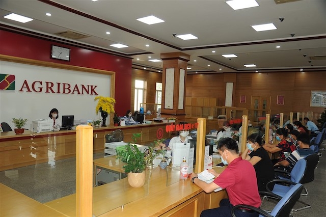 Agribank hiện là ngân hàng thương mại nhà nước hàng đầu Việt Nam luôn duy trì tỷ trọng dư nợ cho vay nông nghiệp, nông thôn trên 65% tổng dư nợ và chiếm hơn 36% tổng dư nợ cho vay của toàn ngành trong lĩnh vực này.