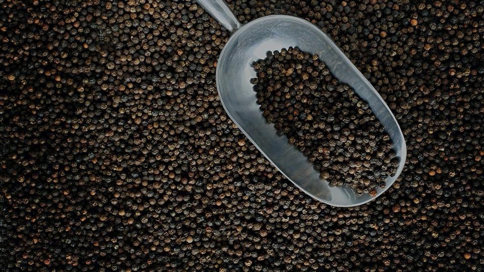 Giá tiêu hôm nay lấy lại mốc 70.000 đồng/kg.