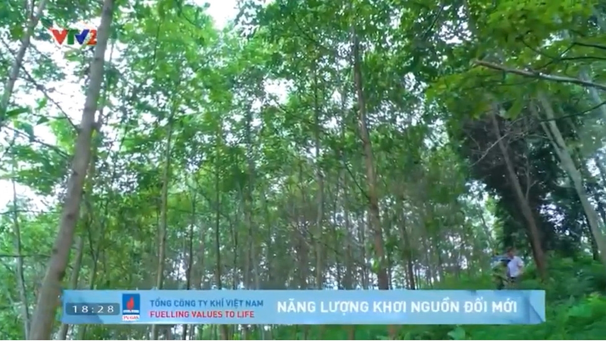 Chương trình Kinh tế xanh với sự đồng hành của Tổng Công ty Khí Việt Nam – CTCP, Đạm Phú Mỹ - NPK Phú Mỹ.