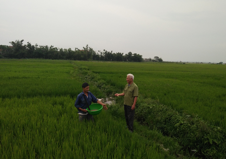 Không ít thương bệnh binh, người có công với cách mạng đang tham gia mô hình kinh tế tập thể và đạt được những kết quả khả quan.