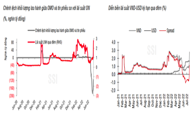 Thống kê của SSI Research