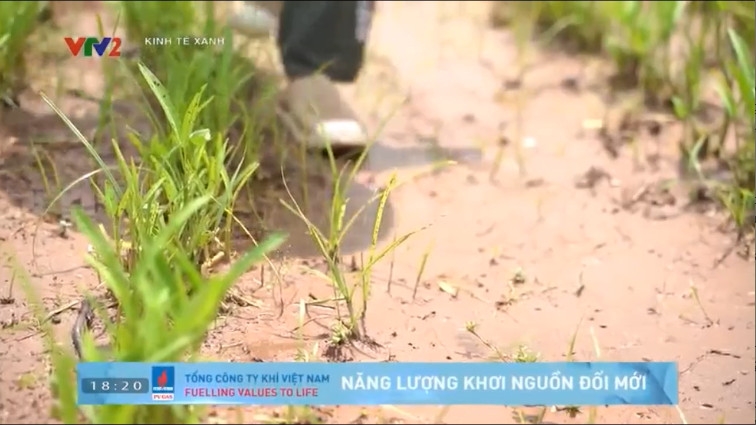 Chương trình Kinh tế xanh với sự đồng hành của Tổng Công ty Khí Việt Nam – CTCP (PV GAS), Đạm Phú Mỹ - NPK Phú Mỹ.