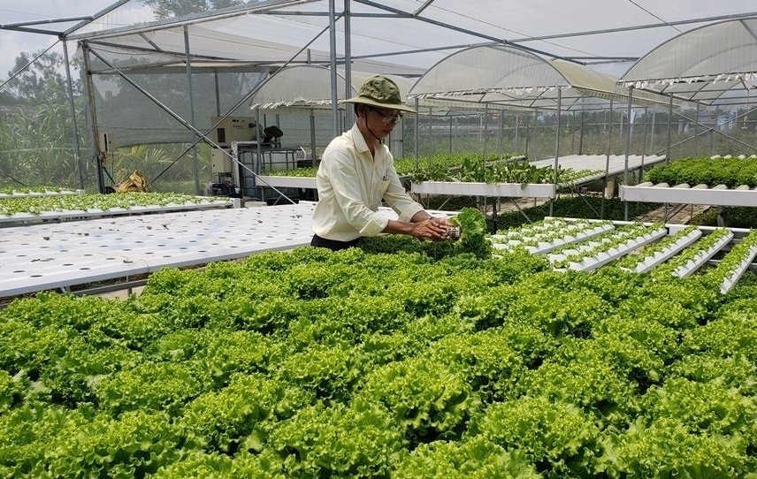 TS Lê Đăng Doanh cho rằng, việc Hợp tác xã gia nhập, hoạt động, rút khỏi thị trường hiện nay còn gặp nhiều rào cản.