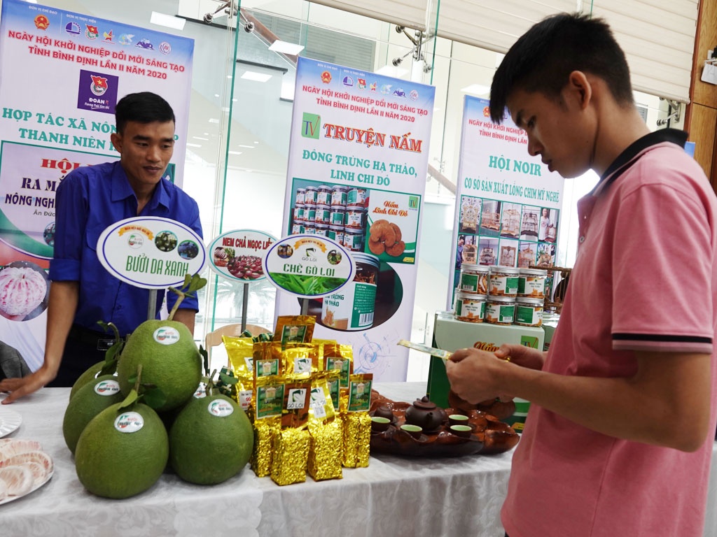 Không ít thanh niên lựa chọn khởi nghiệp từ mô hình HTX.