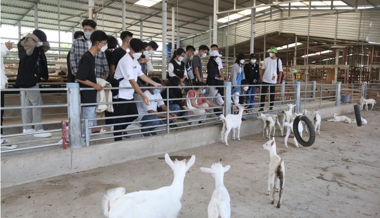 Mô hình nuôi dê kết hợp chế biến sữa và làm du lịch của HTX Đông Nghi đã thể hiện rõ bản chất của mô hình HTX.