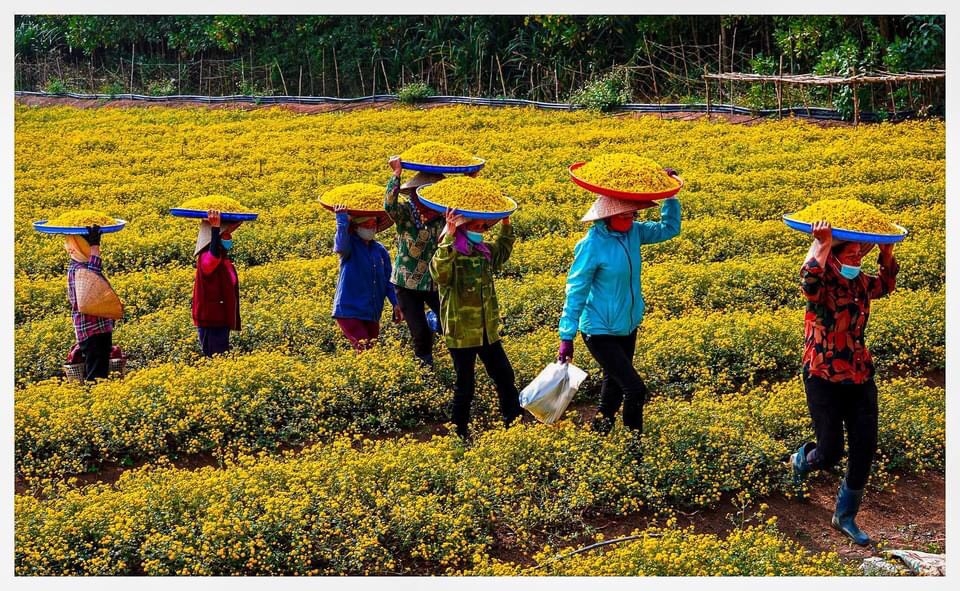 Khi tháo gỡ được những khó khăn cho HTX cũng sẽ đồng nghĩa với việc tháo gỡ được những khó khăn cho khu vực kinh tế tập thể.